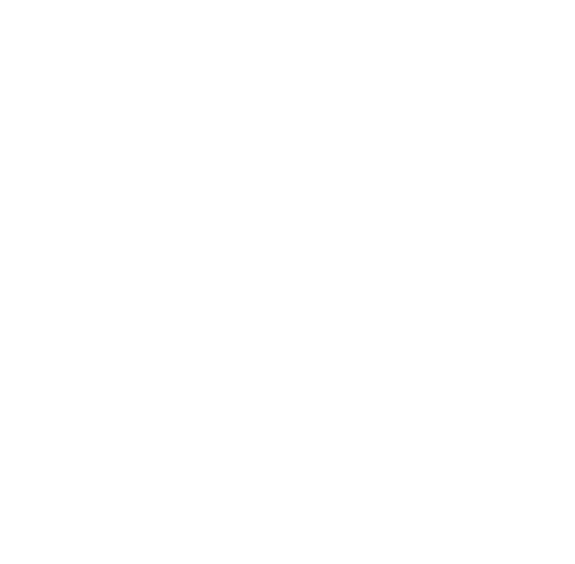 ICC Logo(White)
